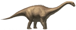 Diplodocus (JWTG Design) Meme Template