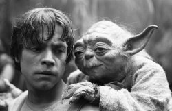 Luke&Yoda Meme Template