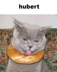 hubert Meme Template