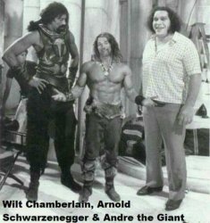 Wilt Arnold Andre Meme Template