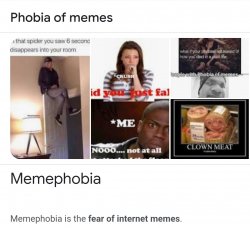 You got memephobia Meme Template