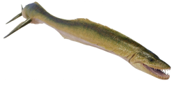 Styxosaurus (JWE Design) Meme Template