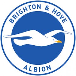 Brighton and hove Albion Meme Template