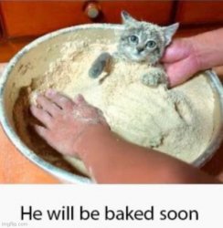 he will be baked soon Meme Template