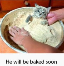 He will be baked soon Meme Template