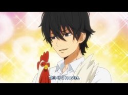 haru yoshida and his rooster Meme Template