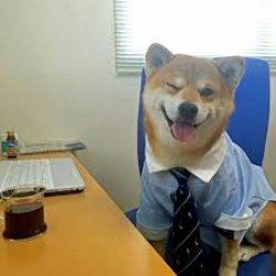 doggo at work Meme Template