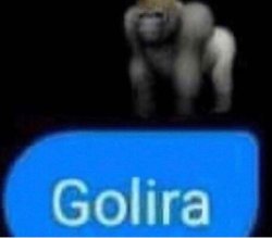 gorilla Meme Template