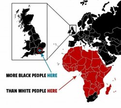 GREAT REPLACEMENT IS WHITE GENOCIDE Meme Template