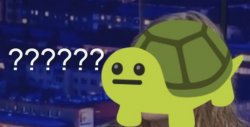 tortoise whar Meme Template
