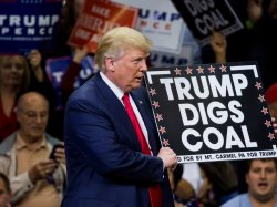 Trump digs coal Meme Template