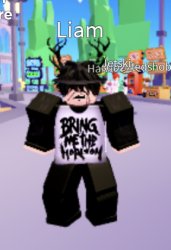 roblox is gay Meme Template