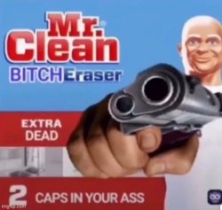mr clean bitch eraser Meme Template
