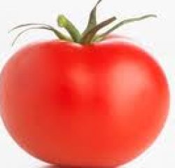 tomato Meme Template