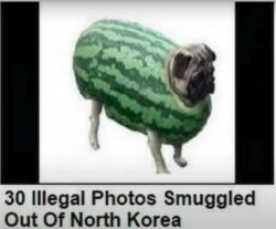 30 Illegal photos Smuggles Out of North Korea Meme Template