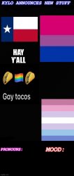 Kylos new bi-gender with pronouns temp Meme Template