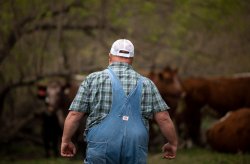 chunky farmer Meme Template