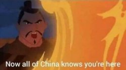 Now all of China knows you're here Meme Template