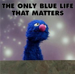 The only blue life that matters Meme Template