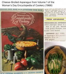 Cookbooks with fascist auras Meme Template