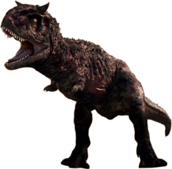 Toro 3 Meme Template