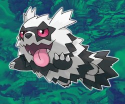 Zigzagoon Meme Template