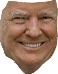 Trump face 2 Meme Template