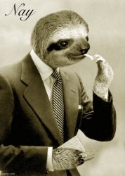 Gentleman sloth nay Meme Template