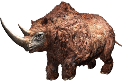 Woolly Rhinoceros (JWA Design) Meme Template