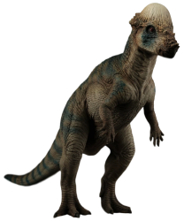 Pachycephalosaurus 3 (TLW Design) Meme Template