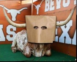 Bevo Meme Template