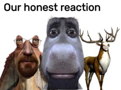 Our honest reaction Meme Template