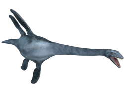 Elasmosaurus Meme Template