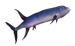 Gillicus Meme Template