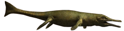 Metriorhynchus Meme Template