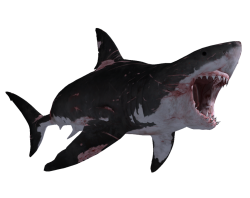 Megalodon (Mouth Open) Meme Template