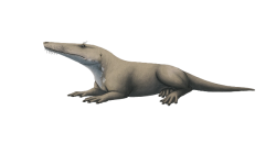 Ambulocetus (On Land) Meme Template