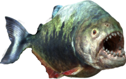 Megapiranha Meme Template