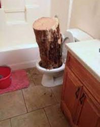 Toilet log Meme Template