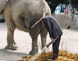 GOP Republican elephant man head flashlight Meme Template