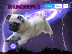Thunderpug announcement template Meme Template