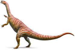 Plateosaurus Meme Template