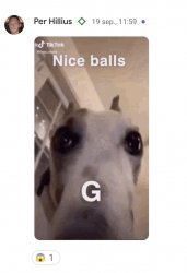 Perra posts "nice balls G" Meme Template