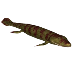 Tiktaalik Meme Template