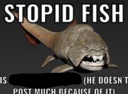 stopid fish is blank (he doesn't post much because of it) Meme Template