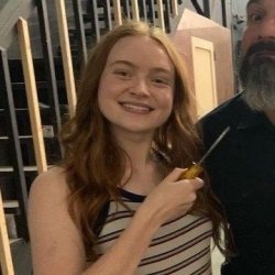 sadie sink Meme Template