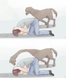 long neck dog wikihow Meme Template