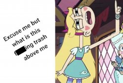 Star Butterfly Excuse me but what is this F**king trash above me Meme Template