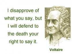 Voltaire quote Defend to the death Meme Template