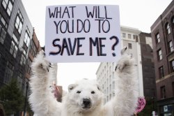 climate change protest Meme Template